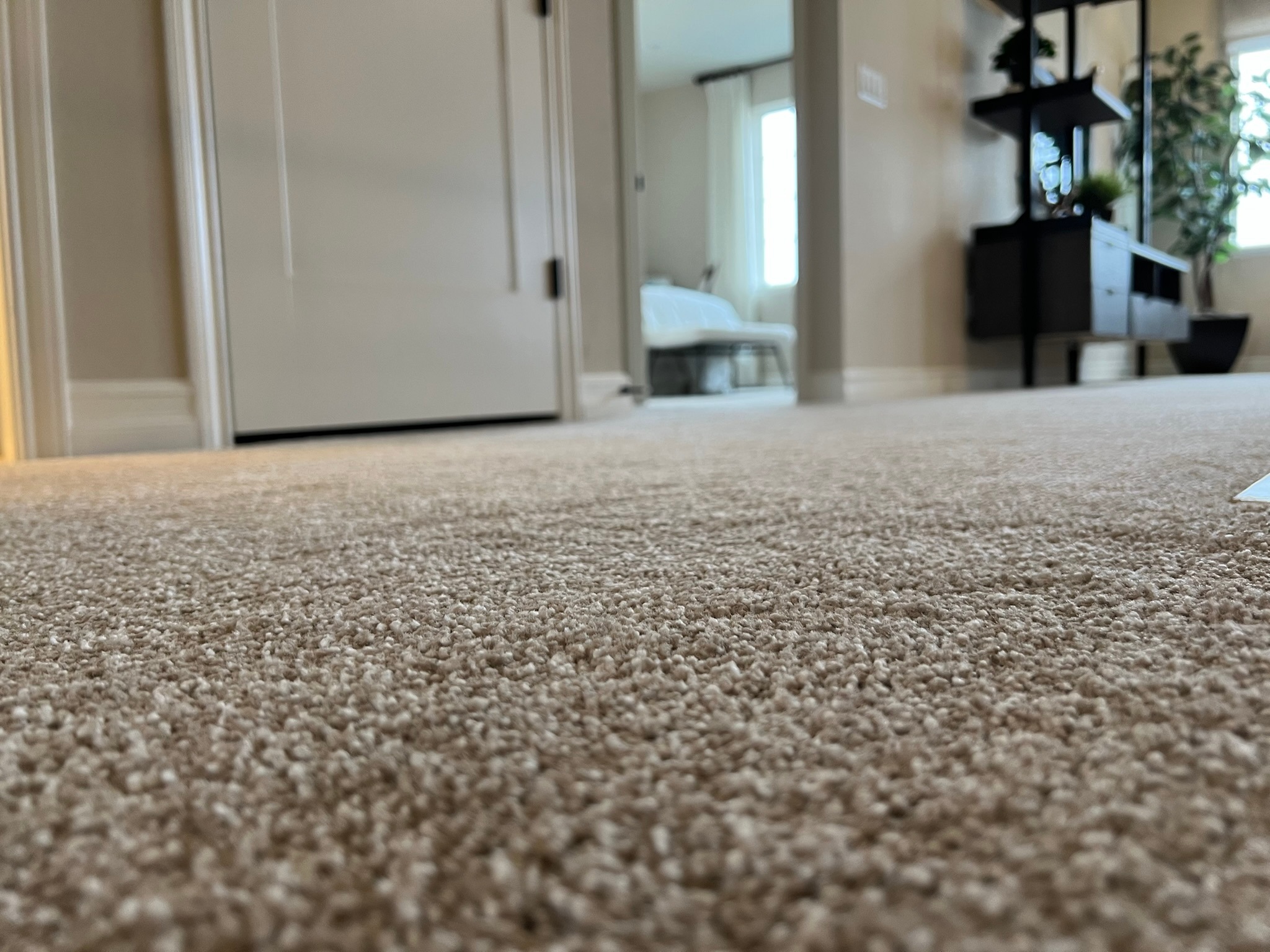 Flooring Installation Contractors Grand Junction business image in Grand Junction, Colorado