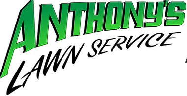 Anthony's Lawn Service business image in Bell Buckle, TN